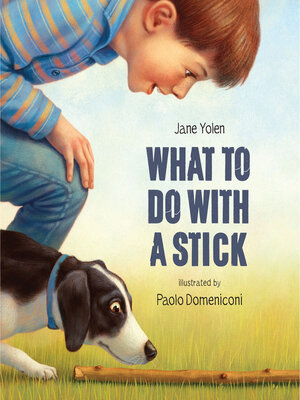 cover image of What to Do with a Stick